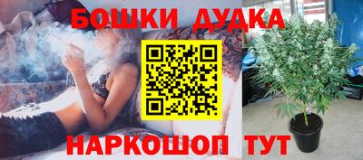 гидра Кунгур
