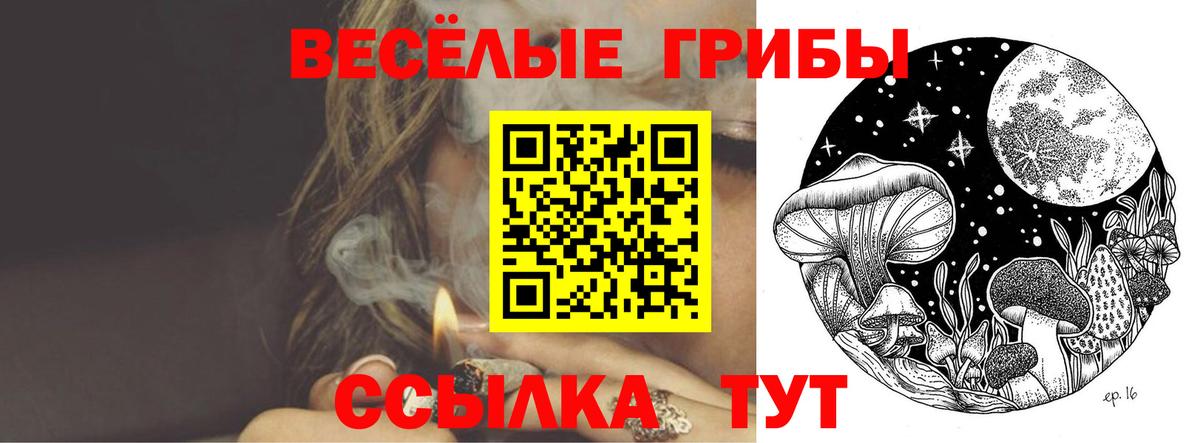 Избербаш  Псилоцибиновые грибы MAGIC MUSHROOMS  Псилоцибиновые грибы Psilocybine cubensis  Вход с VPN 